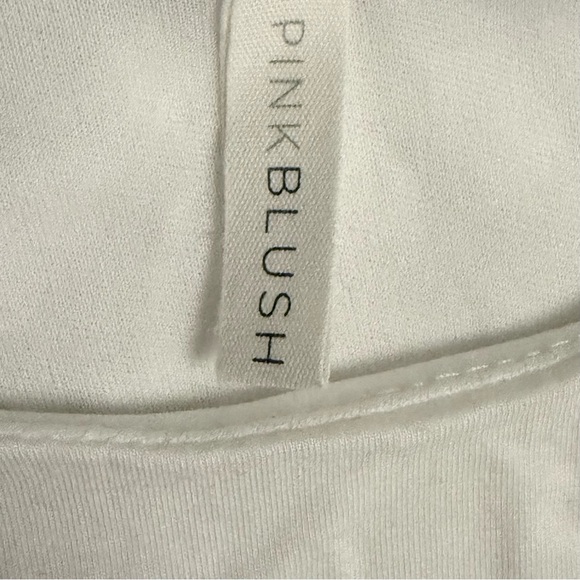 PinkBlush Light Pink Chiffon Colorblock Maternity Maxi Dress l Petite Small - Picture 4 of 4